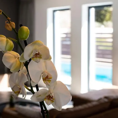 Marcante Family With A Pool Apartment Porec
